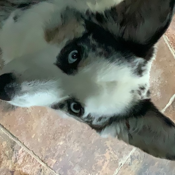 Meet your Posher, Kelley - Picture 1 of 1